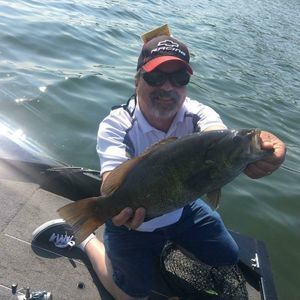 Meet your Posher, Donald